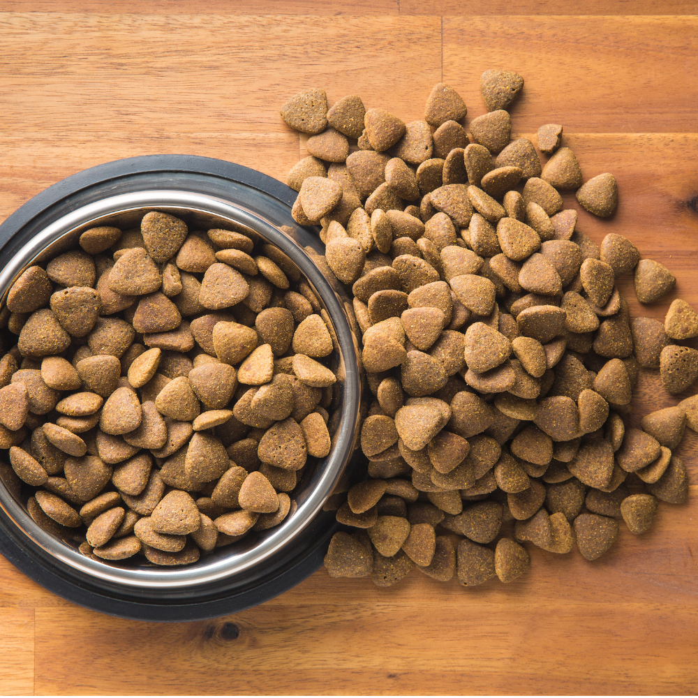 Is Kibble the Healthiest Option for Dogs and Cats?