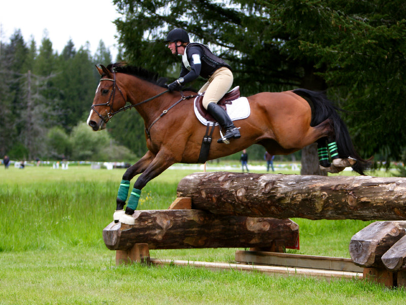 Arthritis & Joint Care in Horses