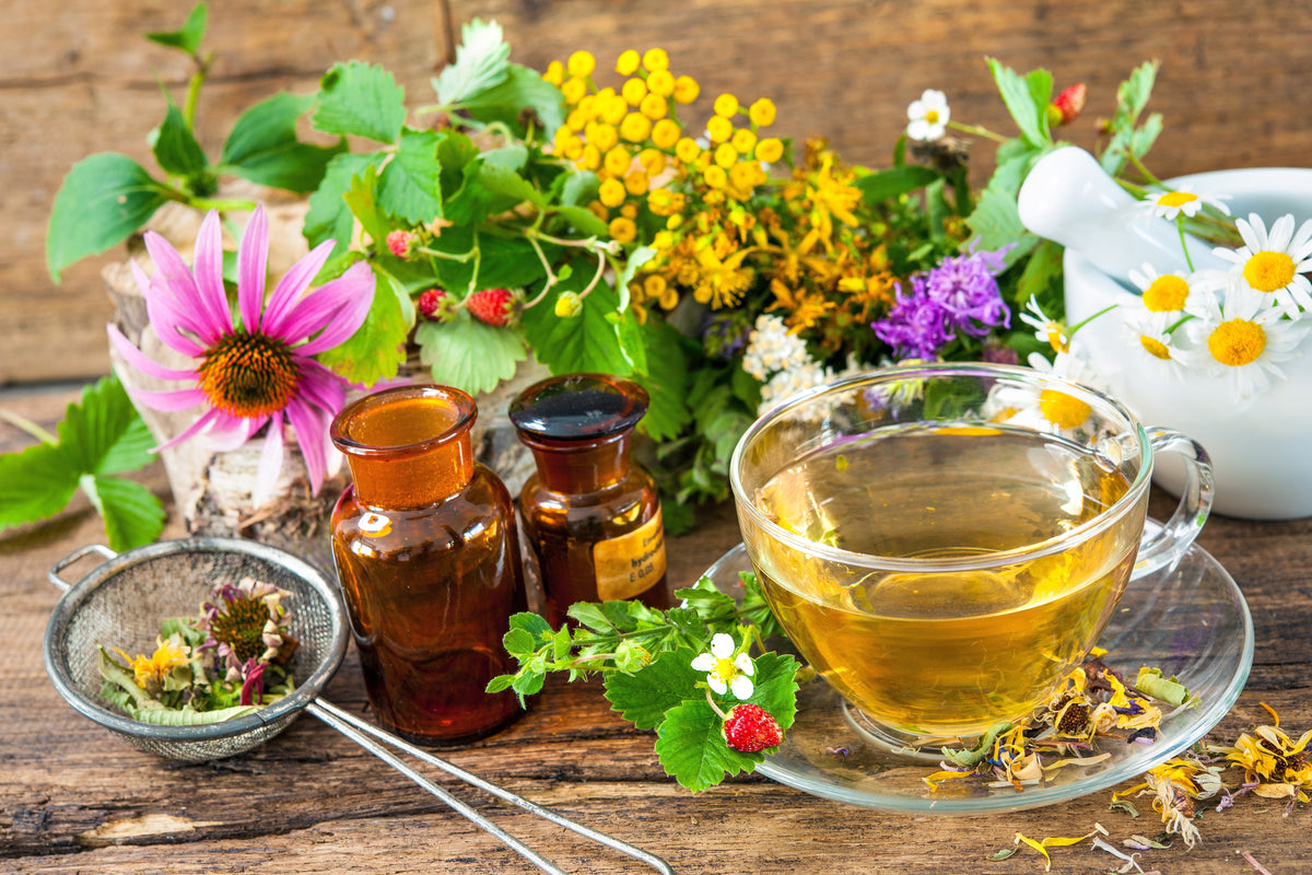 Herbal Medicine for Animals: A Guide to Herbs for Dogs, Cats and Horses
