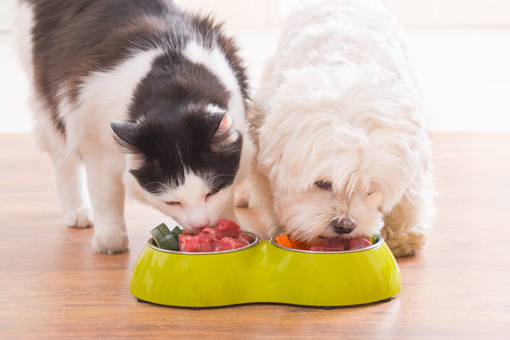 How to Read Pet Food Labels