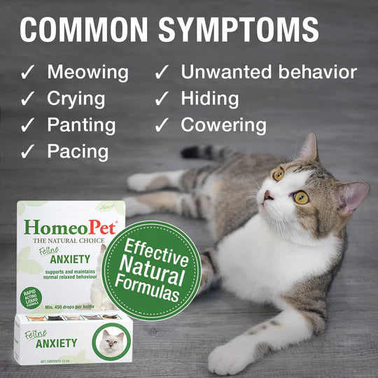 HomeoPet Feline Anxiety