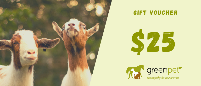Greenpet Gift Voucher