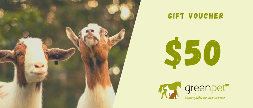 Greenpet Gift Voucher