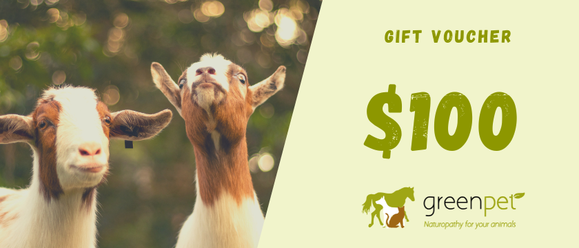Greenpet Gift Voucher