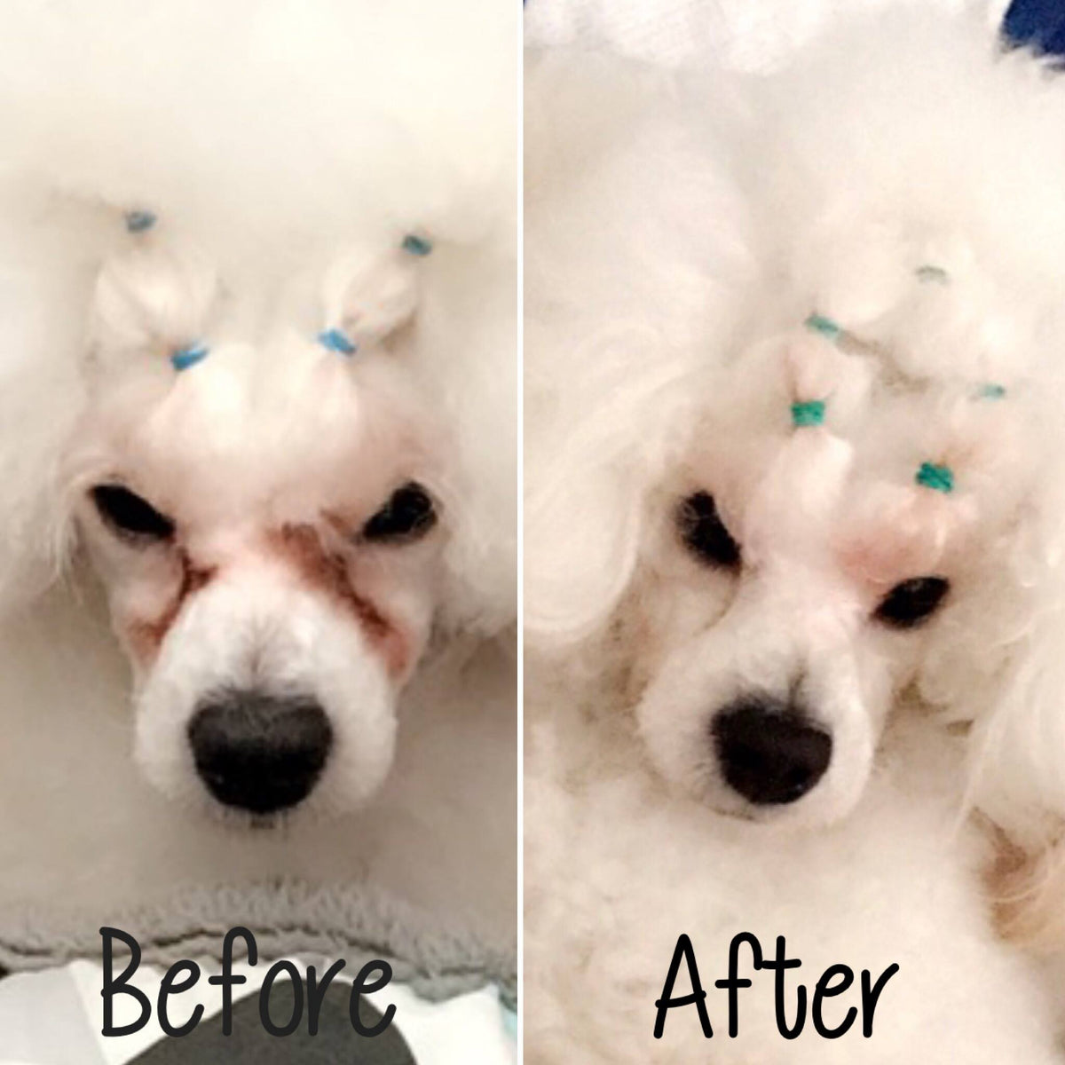 Glow Groom Tear Stain Remover