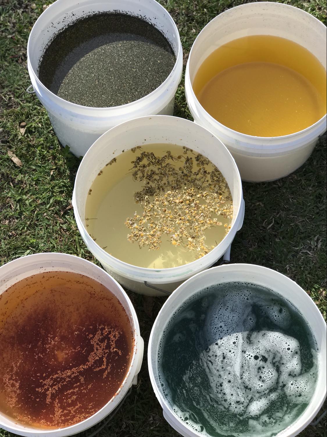 Greenpet Equine Herb Sampler