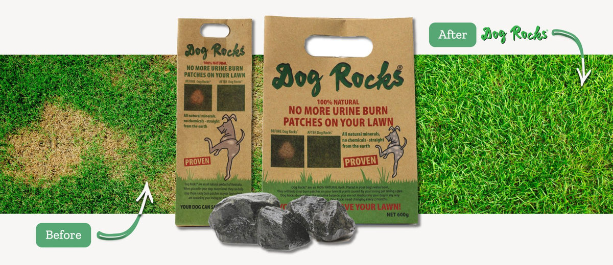 Dog Rocks - 200g