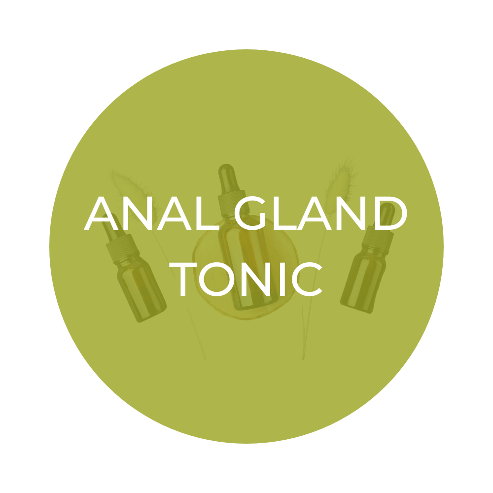 Herbal Anal Gland Tonic