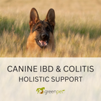 Canine Inflammatory Bowel Disease Support Guide