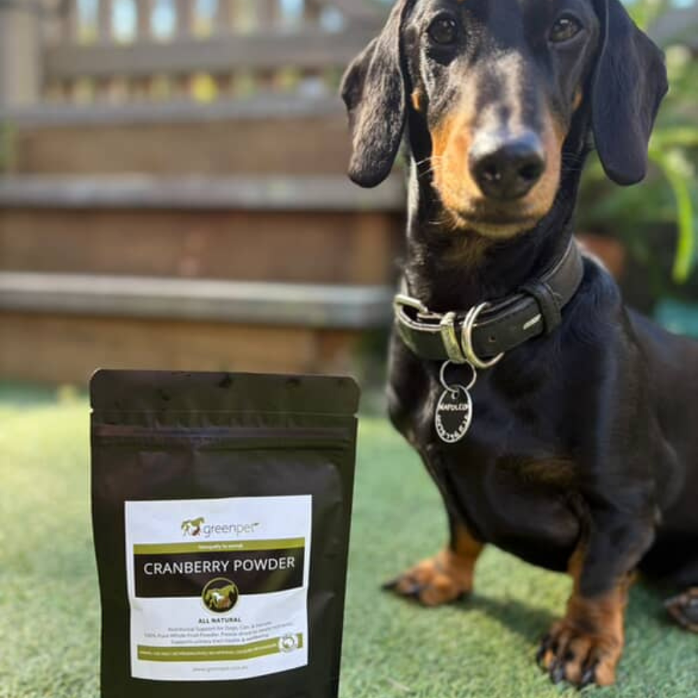 Greenpet Cranberry Powder