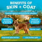 Petz Park Skin + Coat for Dogs