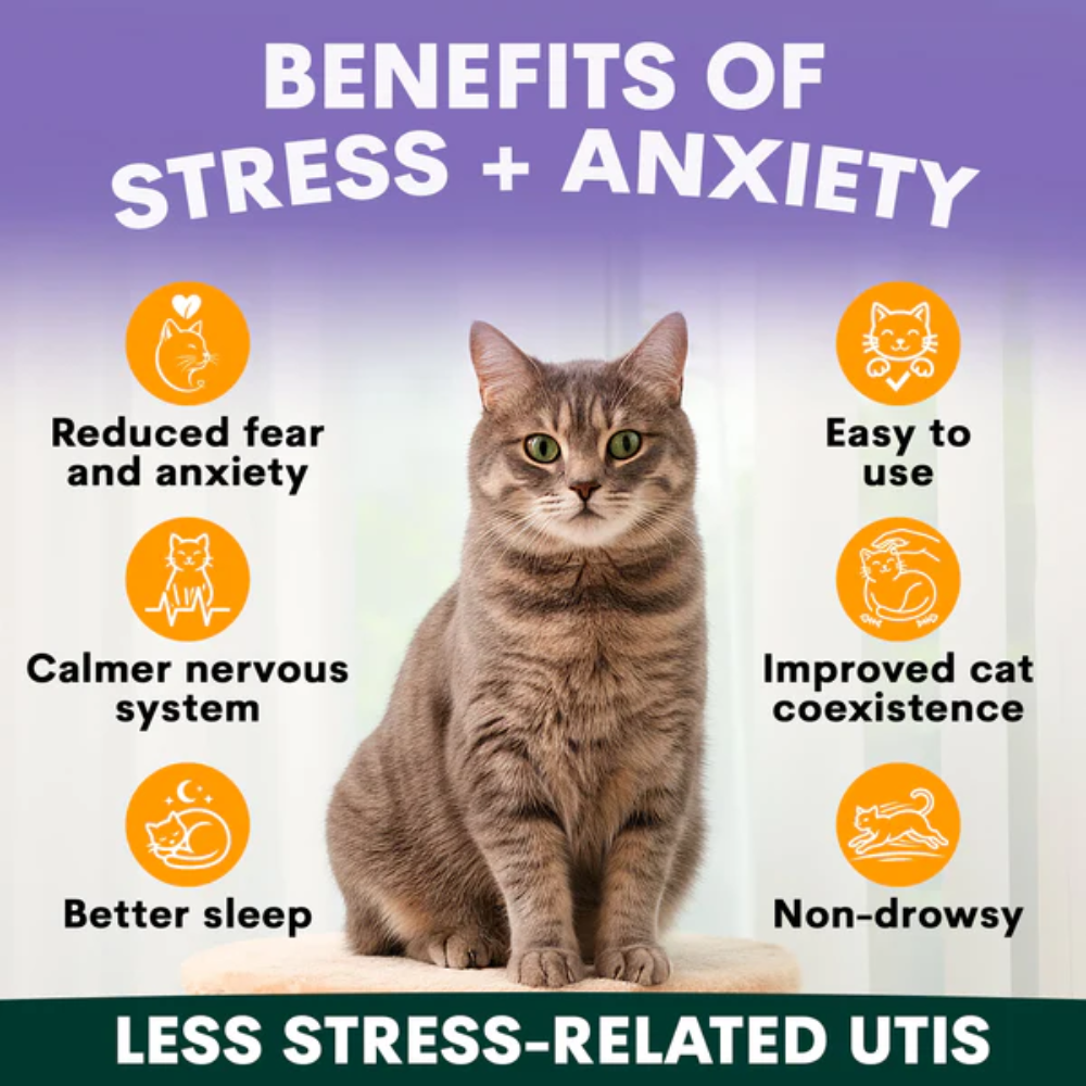 Petz Park Stress + Anxiety for Cats