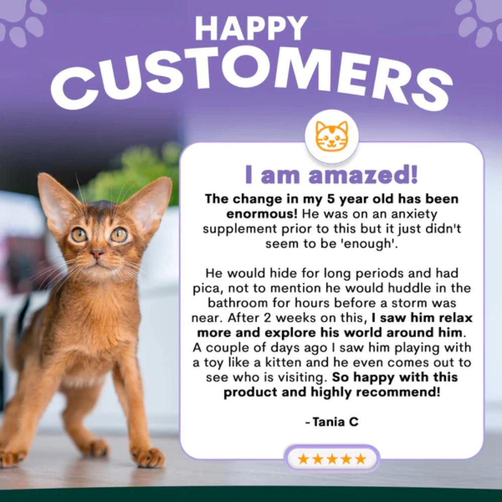 Petz Park Stress + Anxiety for Cats