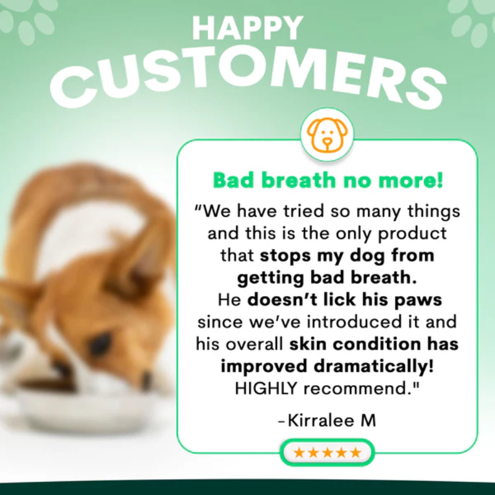 Petz Park Probiotic for Dogs