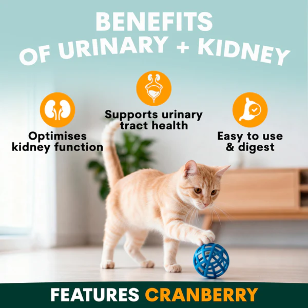 Petz Park Urinary + Kidney for Cats