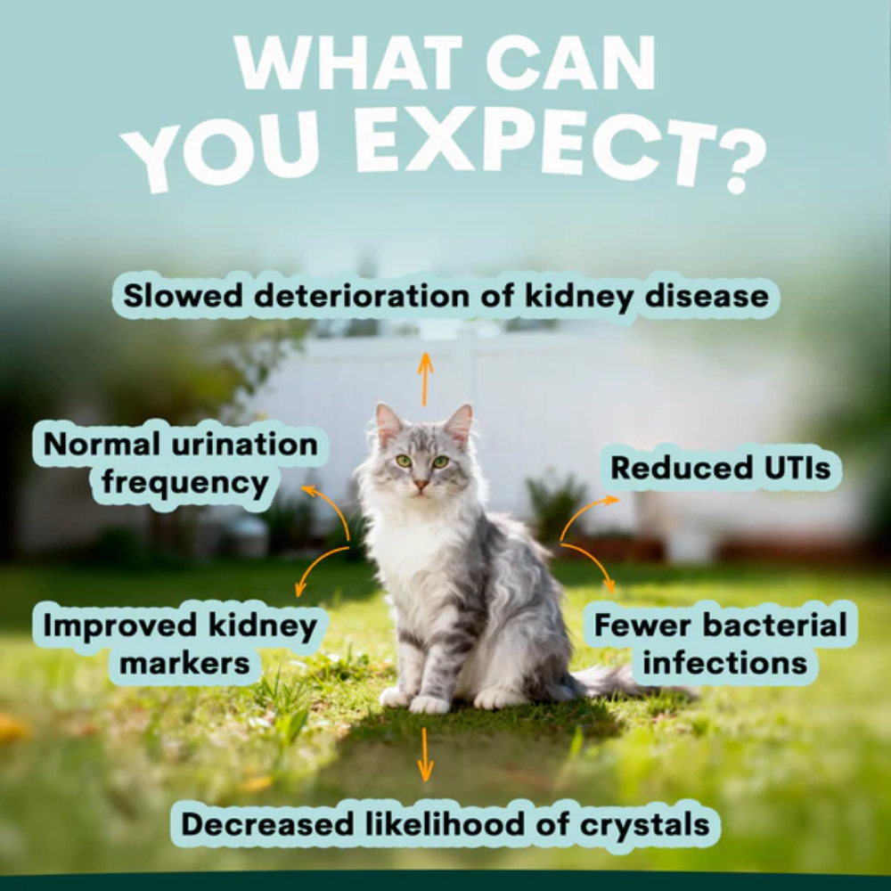 Petz Park Urinary + Kidney for Cats