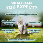 Petz Park Urinary + Kidney for Cats