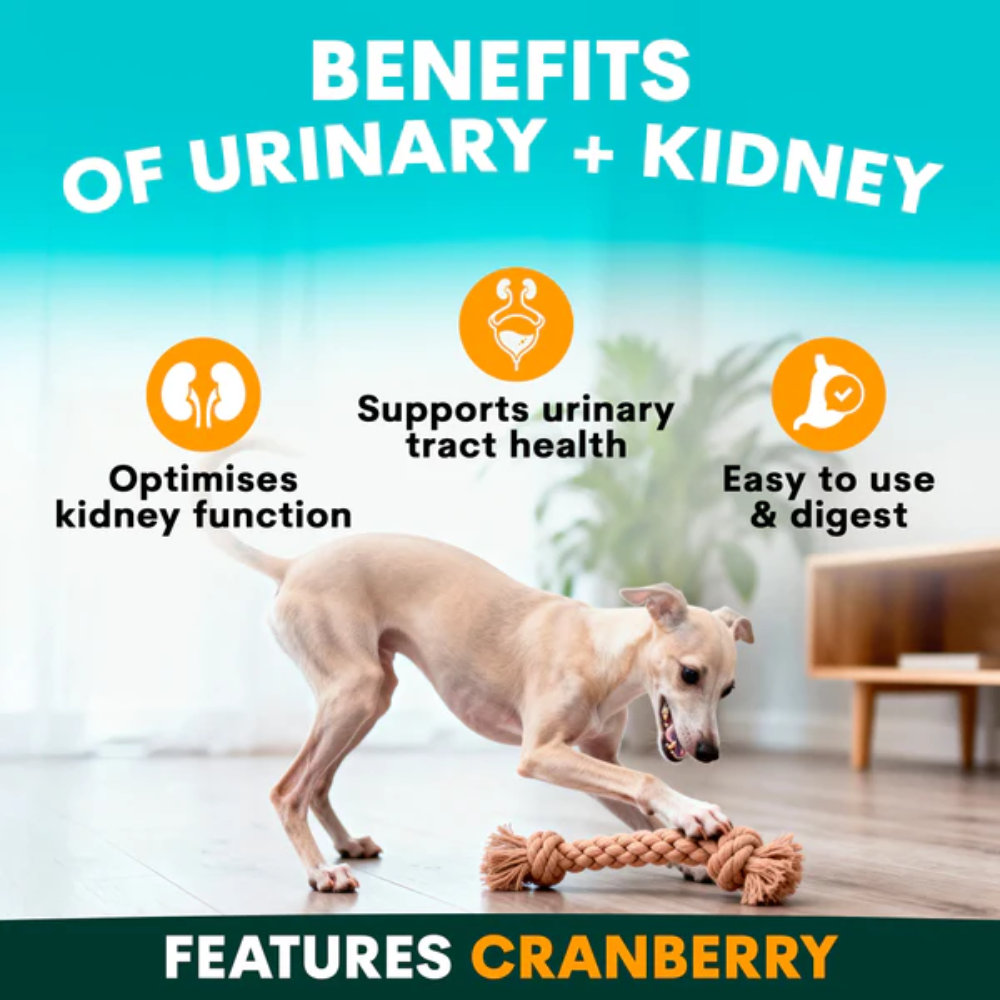 Petz Park Urinary + Kidney for Dogs