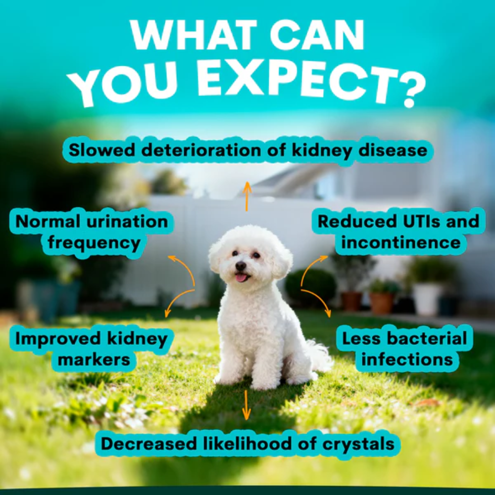 Petz Park Urinary + Kidney for Dogs