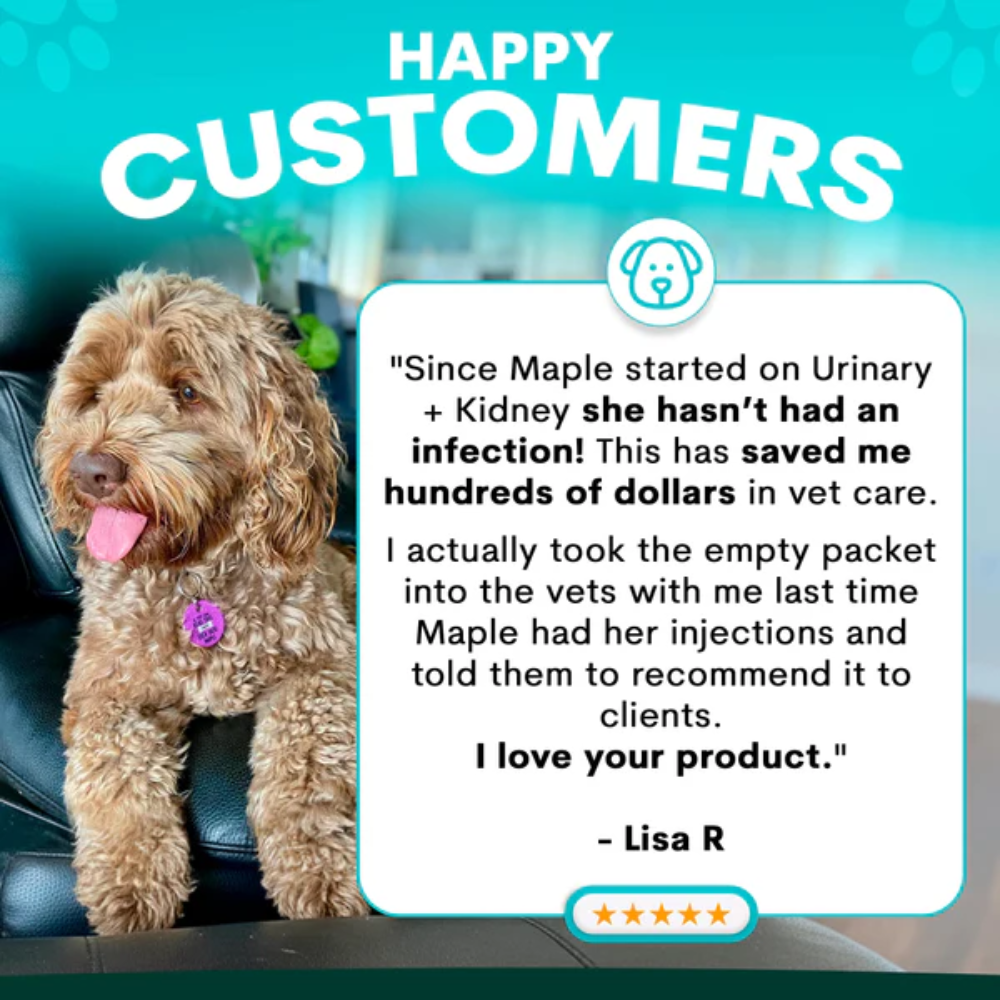 Petz Park Urinary + Kidney for Dogs