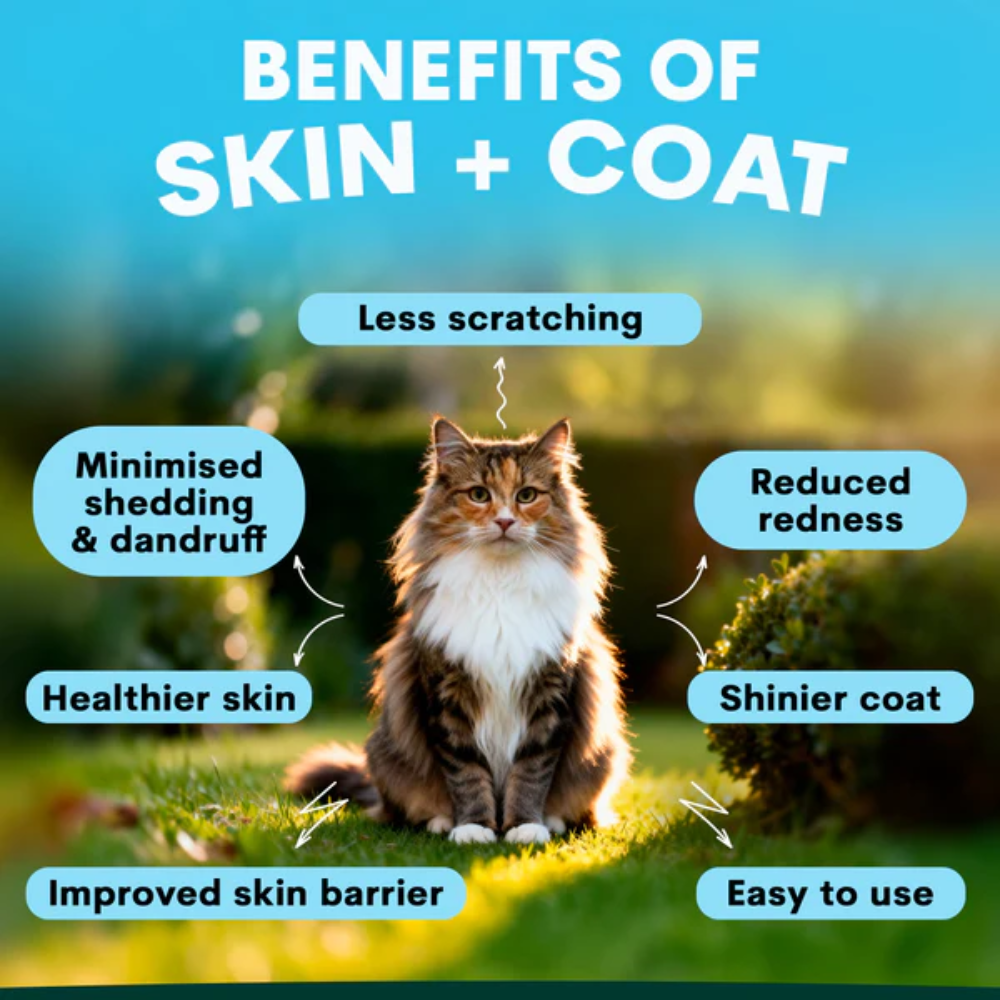 Petz Park Skin + Coat for Cats