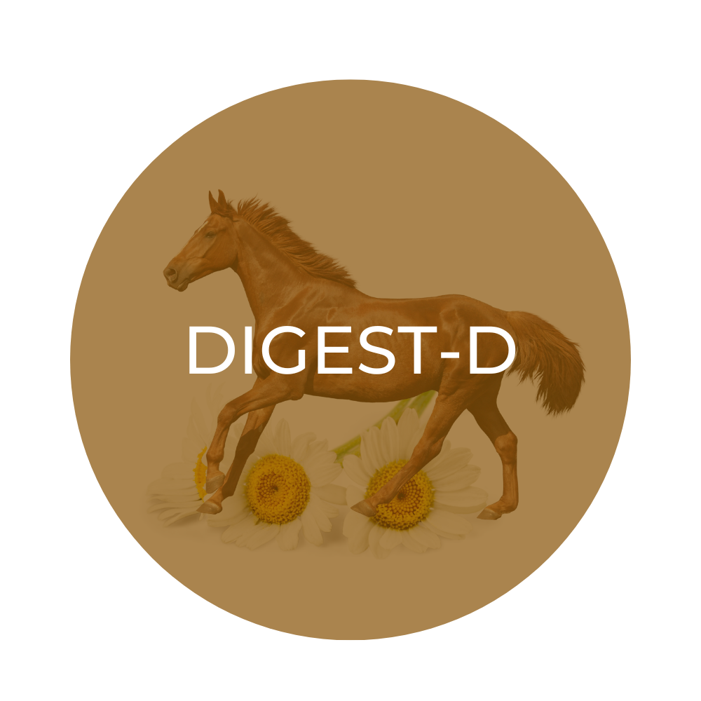 Herbal Equine DIGEST-D