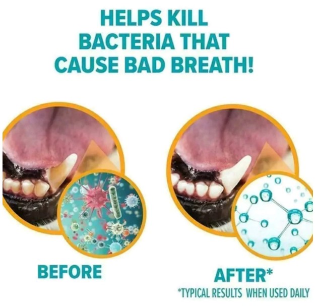 AOC Pet Dental Oil