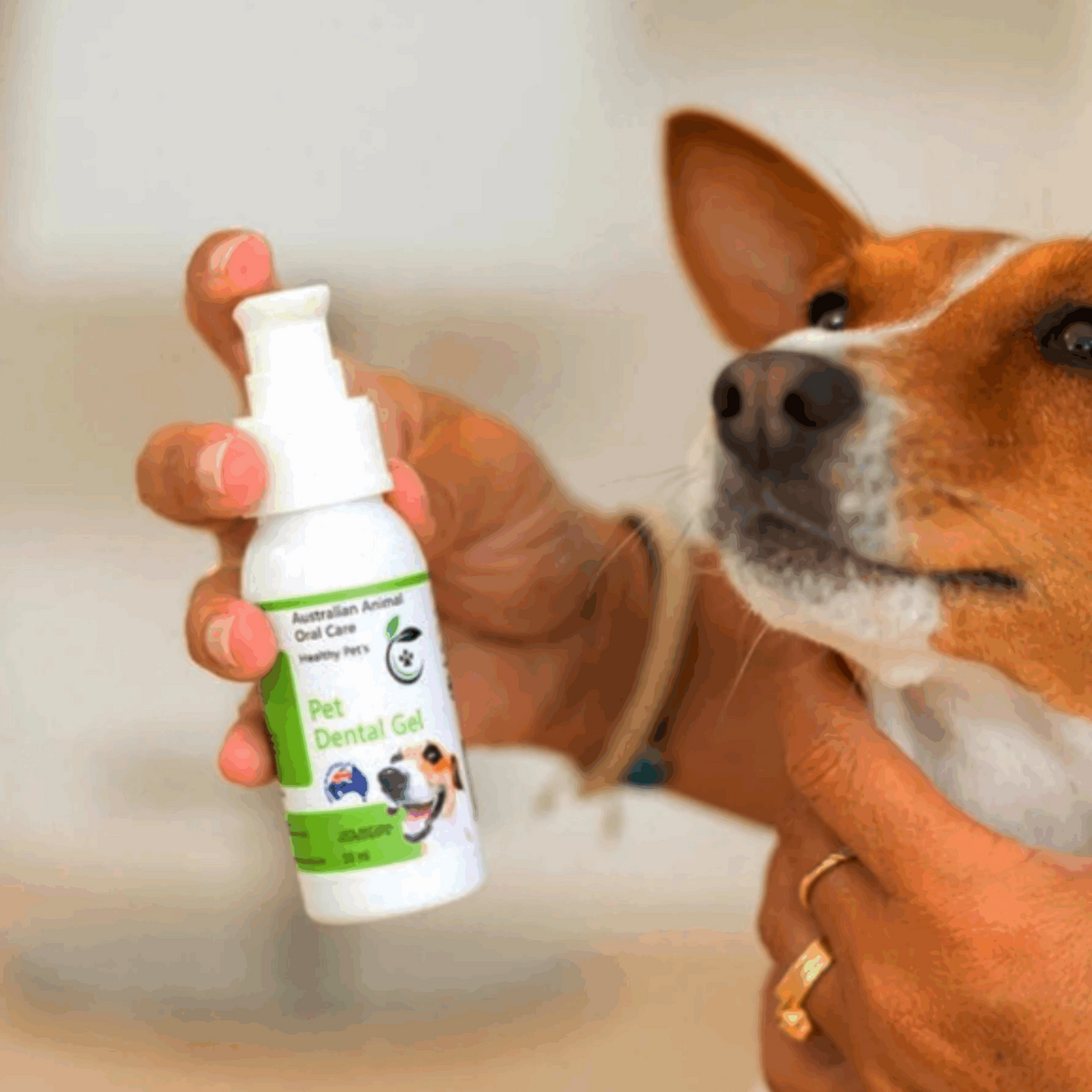 AOC Pet Dental Gel - Dogs