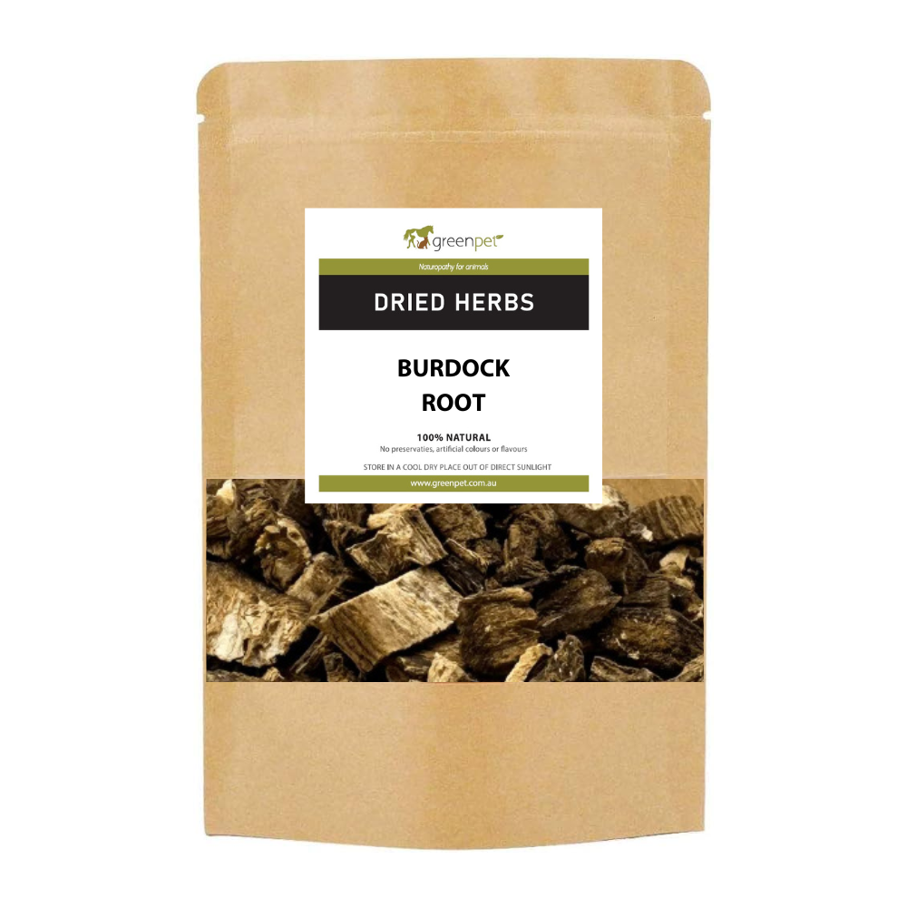 Burdock Root
