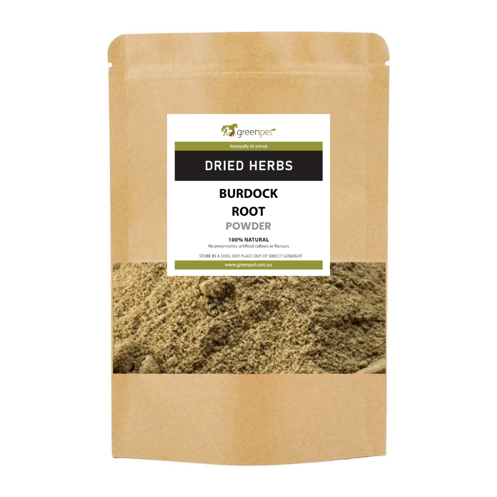 Burdock Root Powder