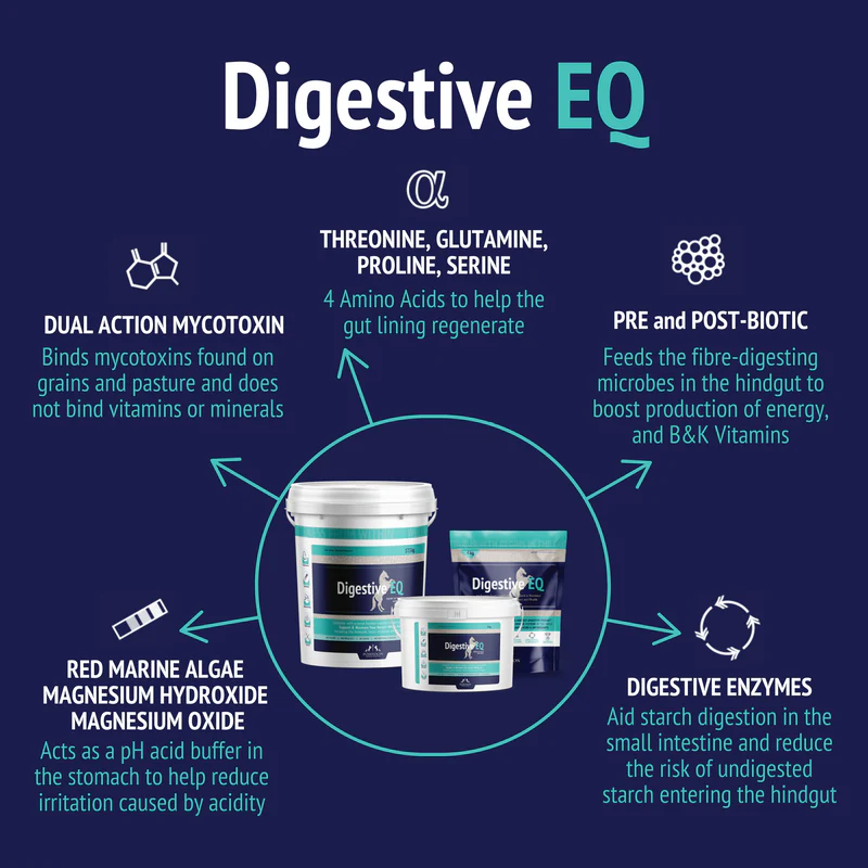Digestive EQ - Equine Gut Supplement