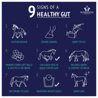 Digestive EQ - Equine Gut Supplement