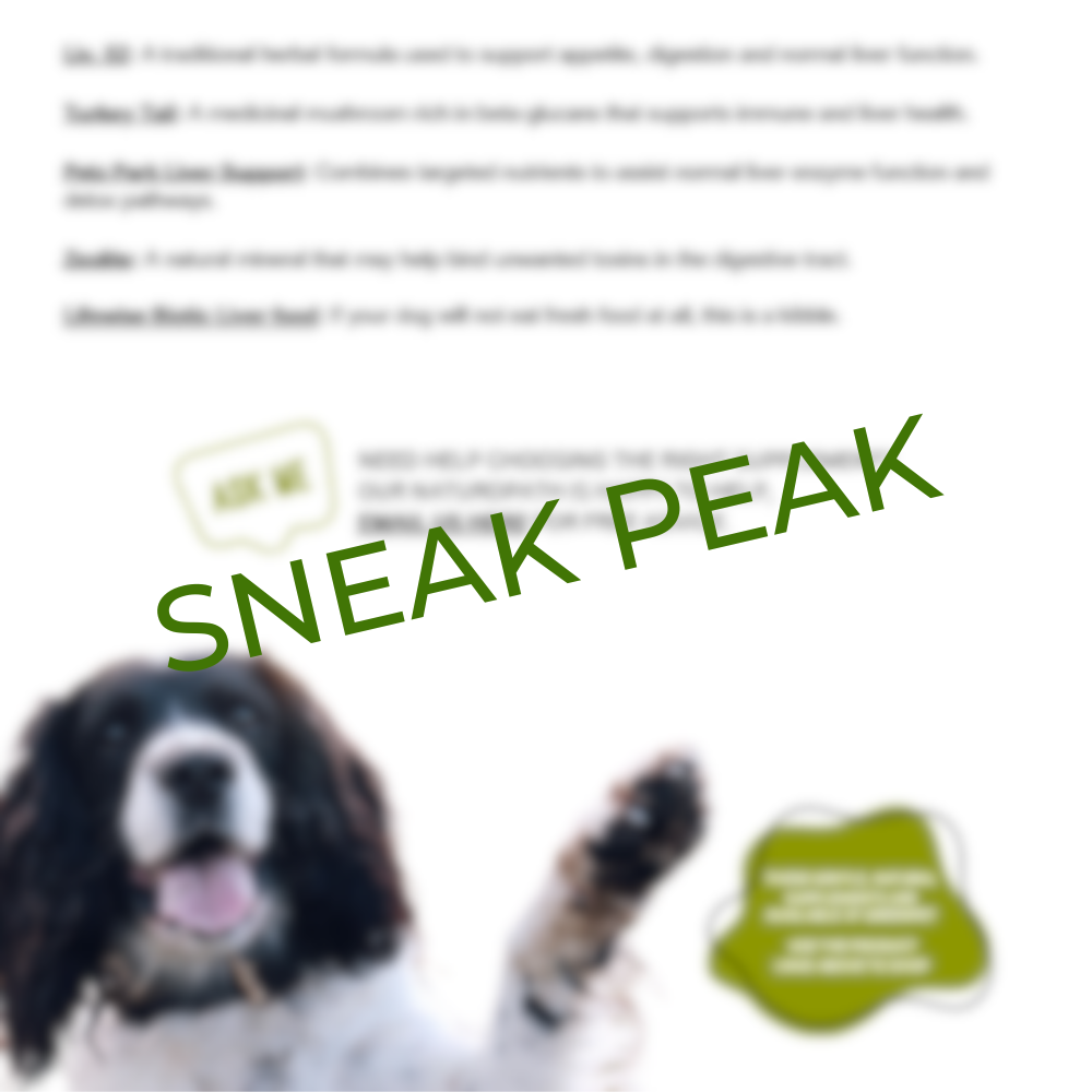 Canine IVDD (Intervertebral Disc Disease) Holistic Support Guide