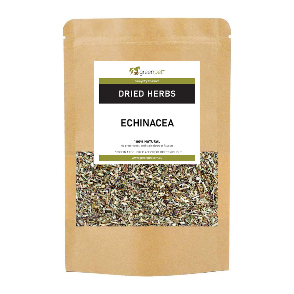 Echinacea