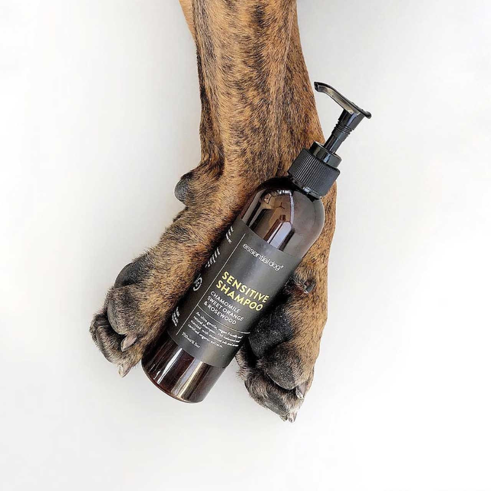 Essential Dog Sensitive Shampoo