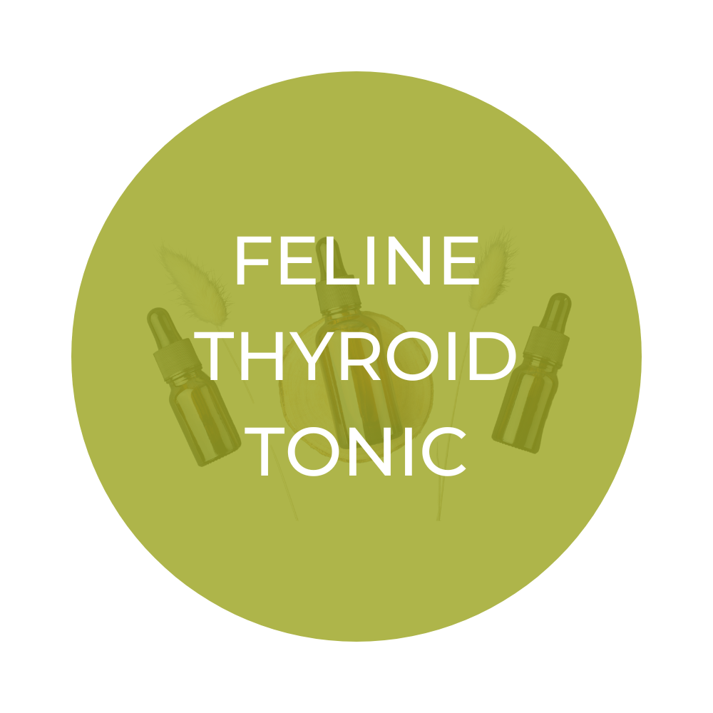 Herbal FELINE THYROID Tonic