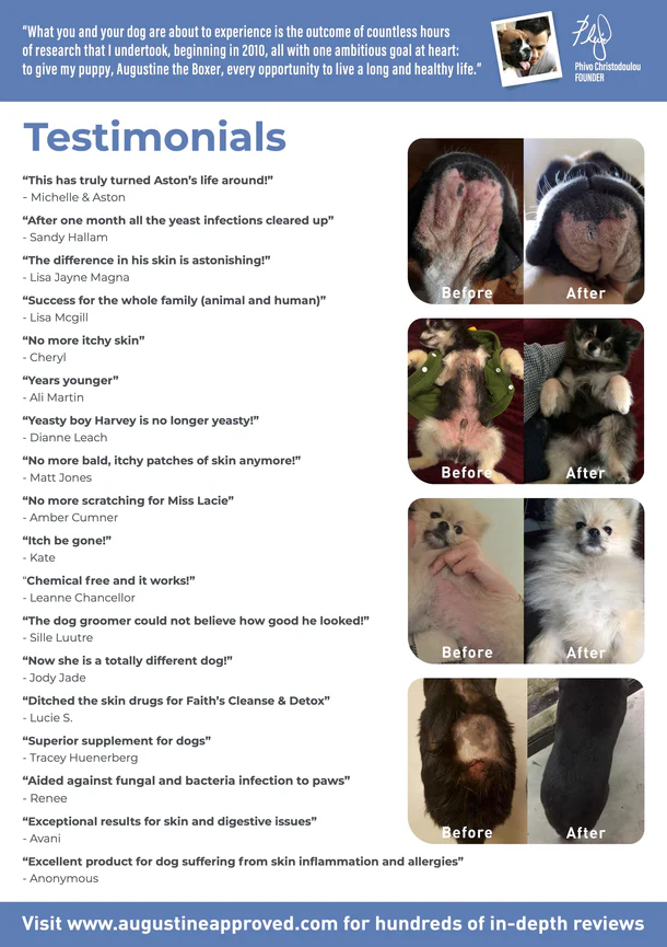 Augustine Approved Faith's Cleanse & Detox