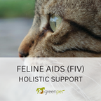 Feline AIDS (FIV) Holistic Support Guide