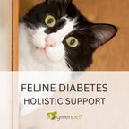 Feline Diabetes Holistic Support Guide