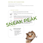 Feline Gingivitis Holistic Support Guide