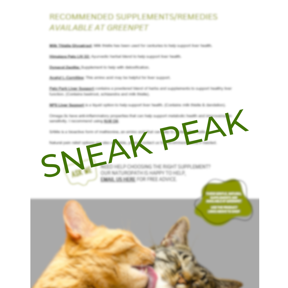 Feline Kidney Disease Holistic Support Guide