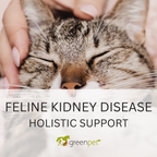 Feline Kidney Disease Holistic Support Guide