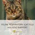 Feline Respiratory (Cat Flu) Holistic Support Guide