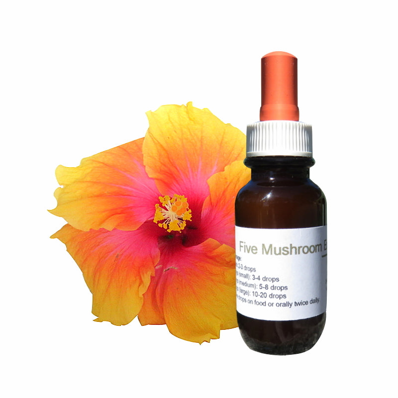 Five Mushroom Extract