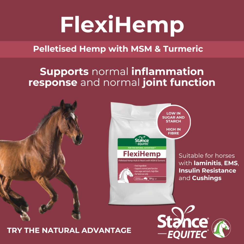 Stance Equitec FlexiHemp