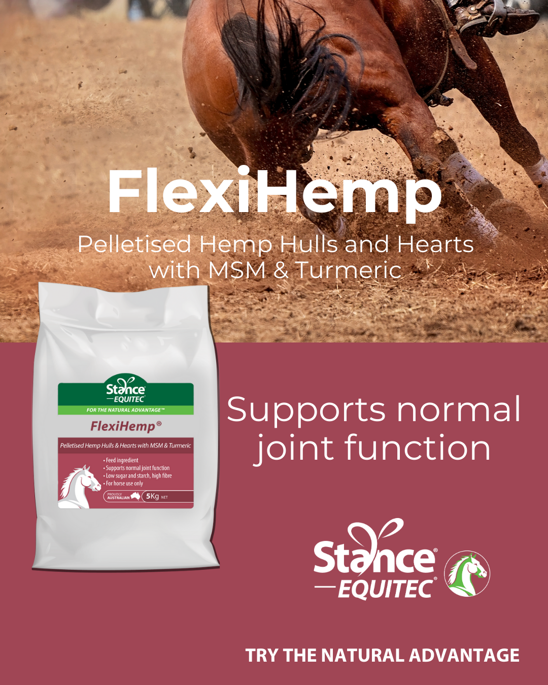 Stance Equitec FlexiHemp