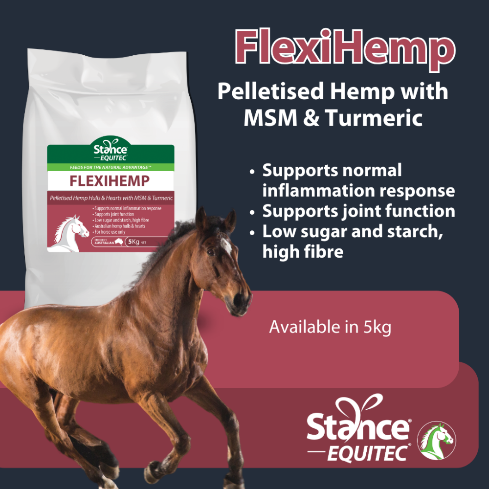 Stance Equitec FlexiHemp