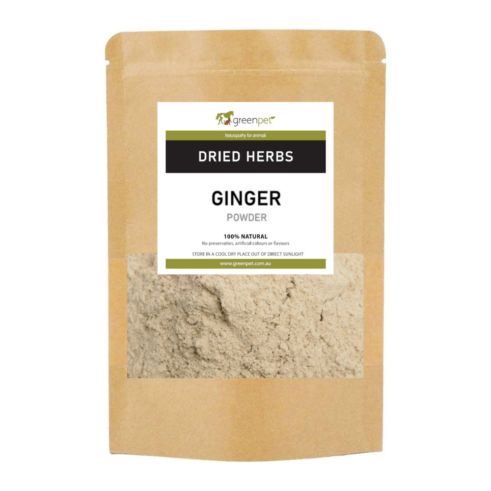 Ginger Powder