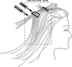 Hair Tissue Mineral Analysis: People
