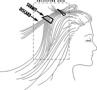 Hair Tissue Mineral Analysis: People